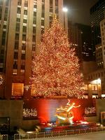 Rockefeller jõulupuu